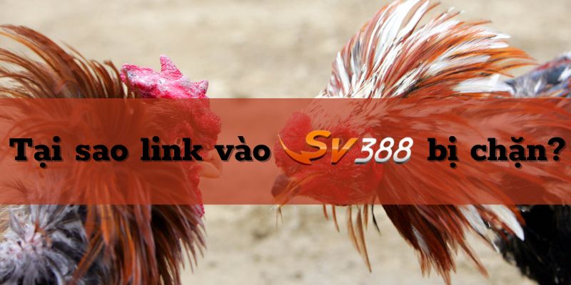 Nguyên nhân khiến SV388 bị chặn