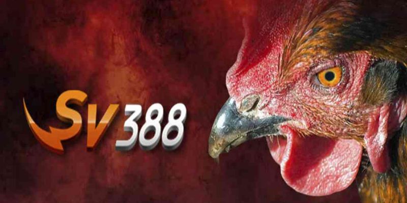 Phương pháp vào SV388 không bị chặn