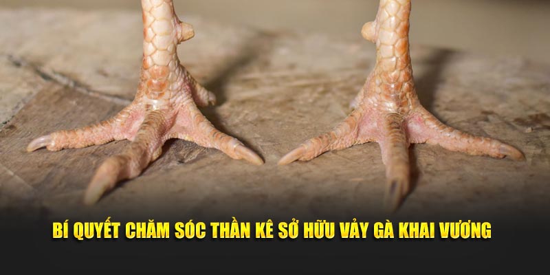 Bí quyết chăm sóc thần kê sở hữu vảy gà khai vương