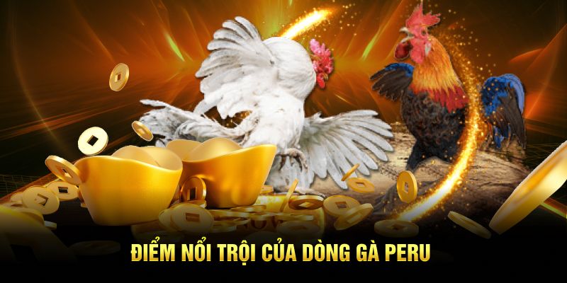 Điểm nổi trội của dòng gà Peru