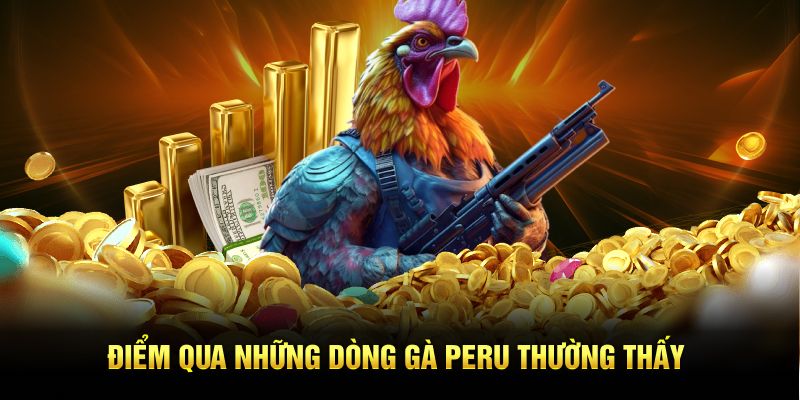 Điểm qua những dòng gà Peru thường thấy