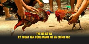 Thế Đá Gà Xạ Kỹ Thuật Tấn Công Mạnh Mẽ và Chính Xác