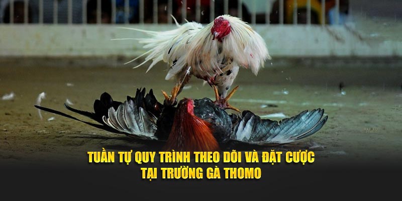 Tóm tắt trọng tâm về thể thao sv388